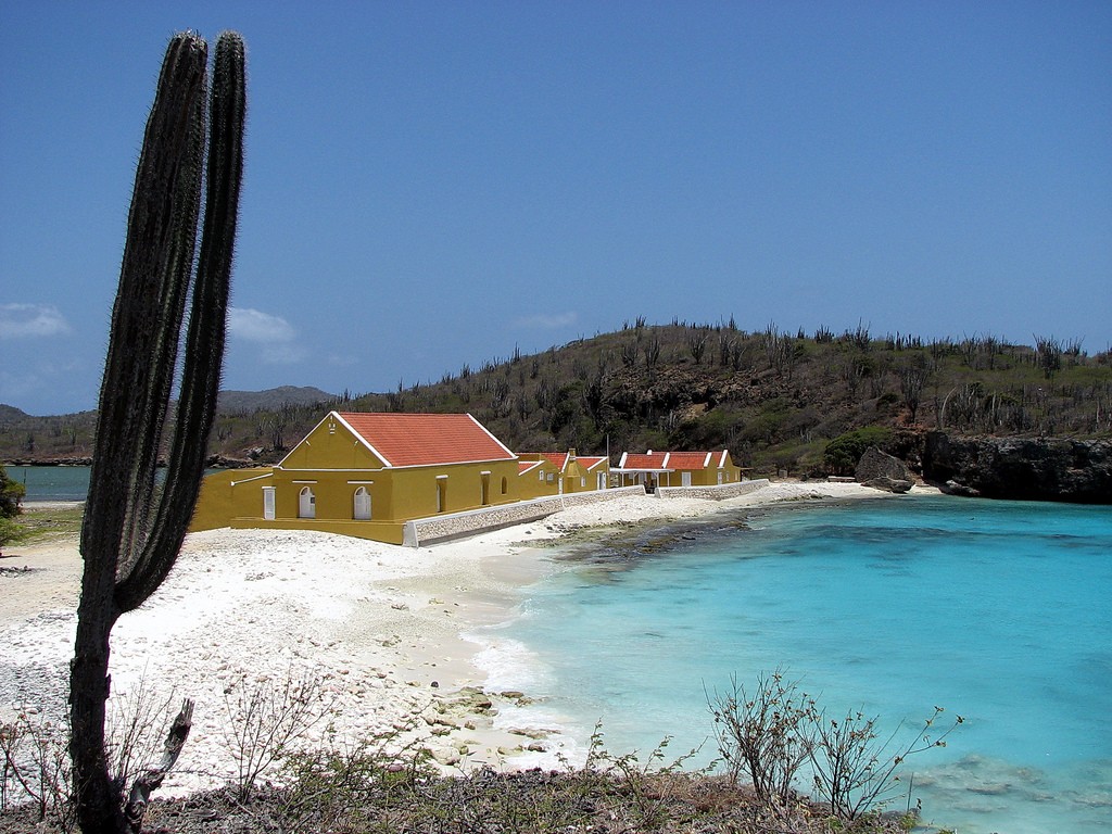 An Intro to Bonaire for the Caribbean addict