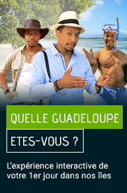 guadeloupe promo